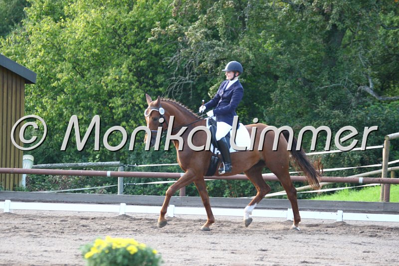 009M1126_Ravenja S_Dressur A.JPG